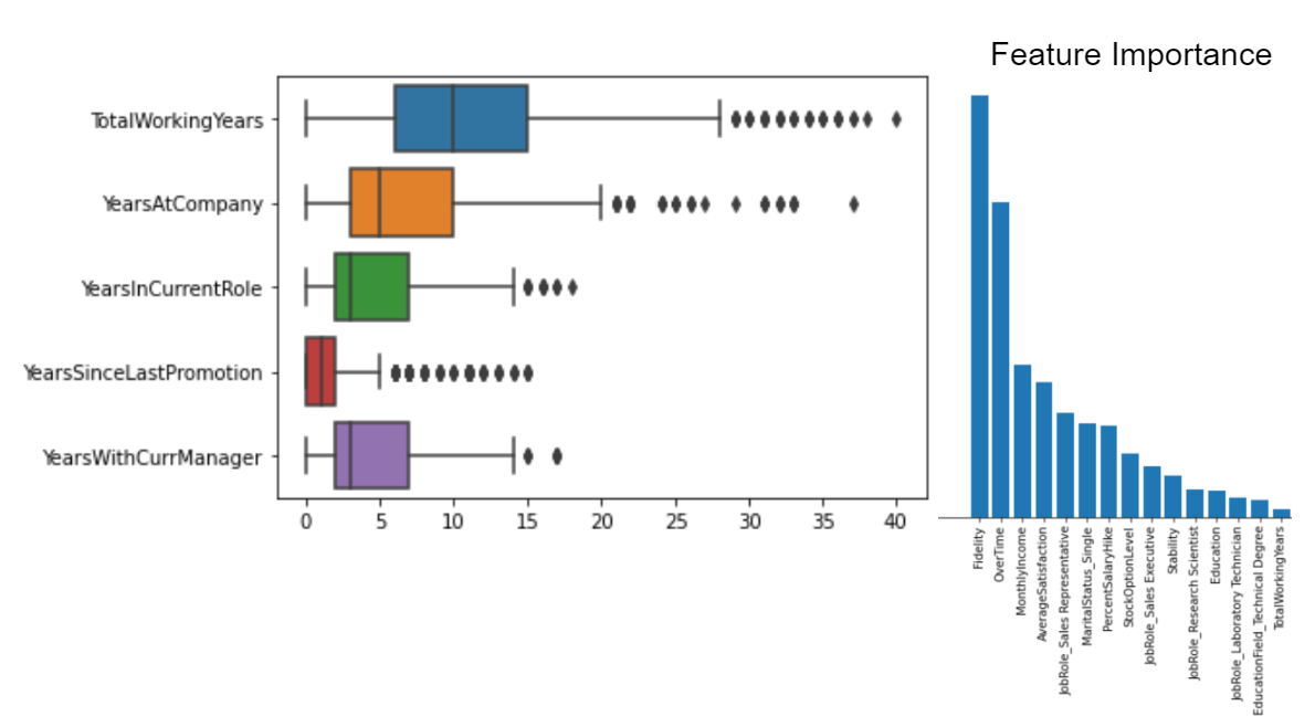 EDA and Feature importance.